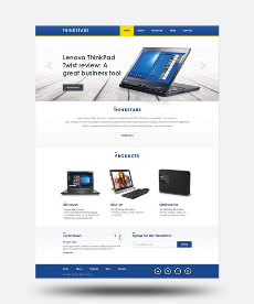 Freelance Web Designer Delhi